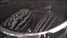 Celebrity MasterChef - Season 01 - 11th February 2025